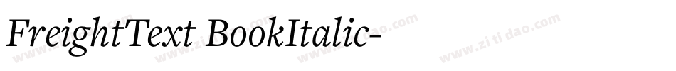 FreightText BookItalic字体转换